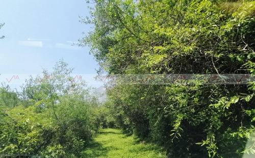 Terreno Para Desarrollar En Venta En El Barro, Monterrey, Nuevo León