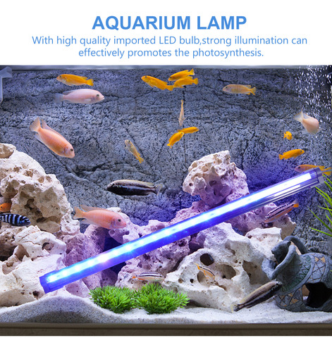 Pecera Con Barra De Luz Led Para Acuario