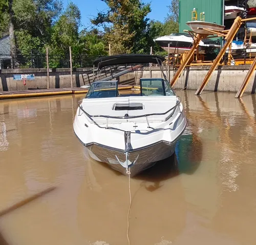 Canestrari 225 Cuddy Volvo Penta 280 Hp V6 Duoprop