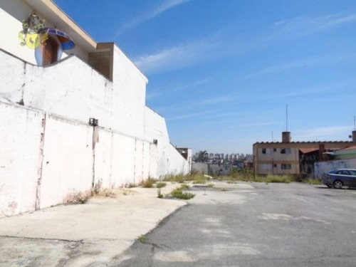 Imagem 3 de 3 de Terreno - Pauliceia - Ref: 1117 - L-3162