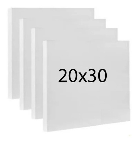 Imagem 3 de 11 de 10 Telas Para Pintura 20x30 Tinta A Óleo Ou Acrílica