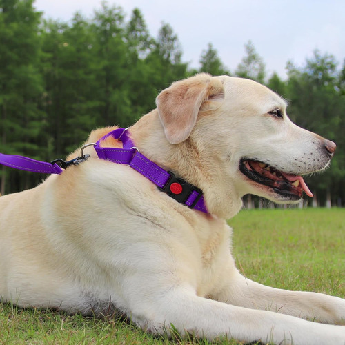 Collar Martingale Para Perros, Collar Reflectante Resistente