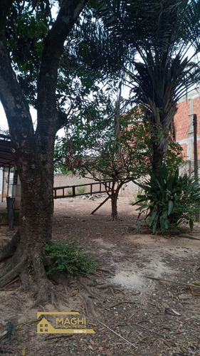 Imagem 8 de 9 de Chácara Simples Com 03 Dormitórios No Bairro João Jabour Em Salto Sp - Ch00029 - 70928324