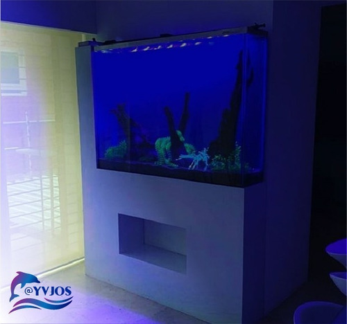 4 Led 10w Alta Potencia Acuario Royal Blue 450 455 Nm -$10