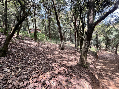 Terrenos Ecológicos En Venta, Santa Rosa Xochiac, Álvaro Obregón, Cdmx