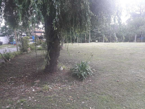 Imagen 3 de 5 de Terreno En Venta En San Jose