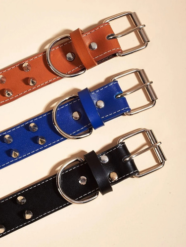 Collar Perro Con Tachas Color Beige