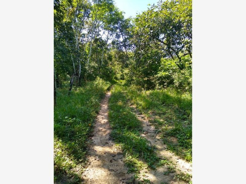 Imagen 3 de 6 de Terreno En Venta Yelapa