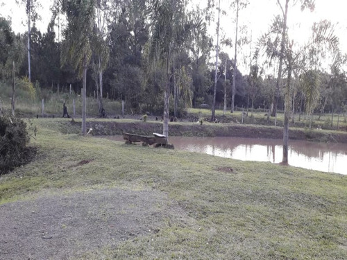 Chácara 10.000 M² - Pega Fogo - Taquara - Rs - 2070 - 33675674