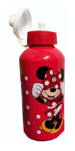 Botella Metálica Minnie O Kitty Importada