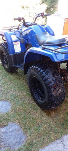 Imagen 12 de 12 de Cuatriciclo Yamaha Grizzly 350 4x4