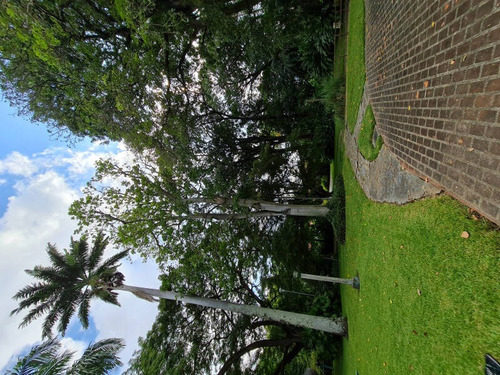 Imagen 4 de 14 de 456202 Anthony Marquez 0424-4338703 Venta Terreno El Trigal