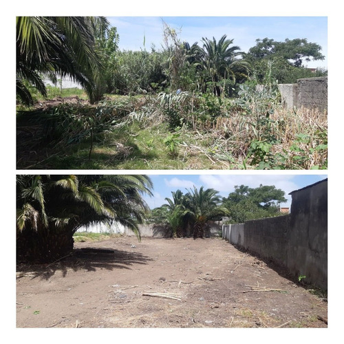 Imagen 6 de 8 de Limpieza De Terrenos,alquiler Maquina,trabajos Bobcat,retiro
