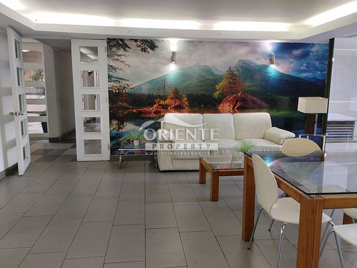 Santiago Centro Departamento Con Opción De Novación