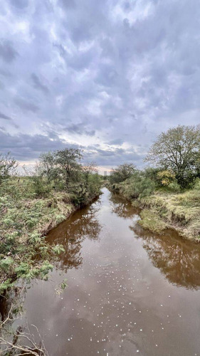 Venta Campo De 127 Ha, Clason, Santa Fe