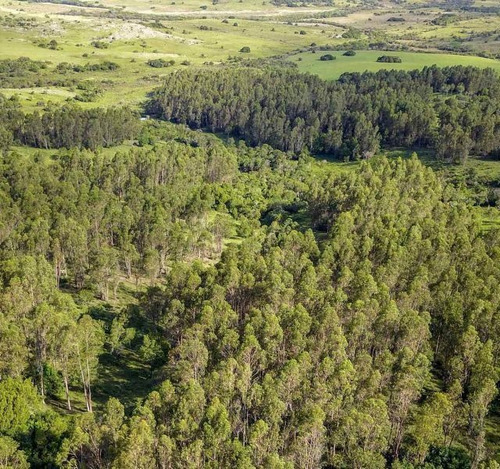 Campo En Venta