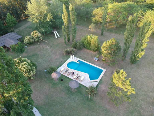 Otro En Venta En Tomas Jofre