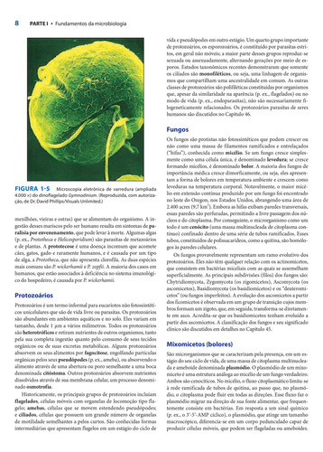 Microbiologia Médica de Jawetz, Melnick & Adelberg, de Riedel, Stefan. Editorial Amgh, capa mole em português, 2022