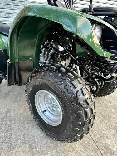 Imagen 8 de 25 de Yamaha Grizzly 125 Cc