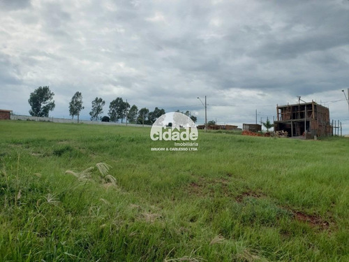 Imagem 8 de 10 de Terreno À Venda, Universitario - Cascavel/pr - 11239