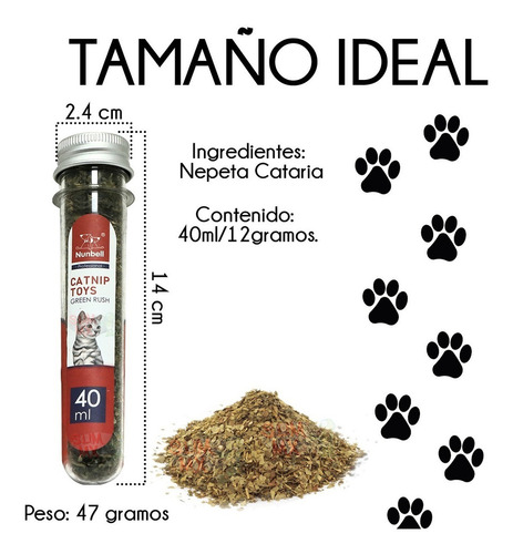 Atrayente Catnip Para Gatos Hierba Gatera Natural 12 Gramos Color Verde musgo
