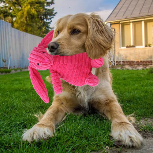 2 Dog Squeaky Toys Conejo Conejo 19x9cm 19x10cm 20x9.5cm