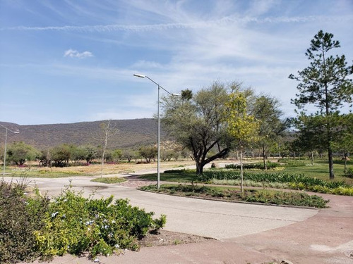 Imagen 1 de 14 de Terreno En Venta Altozano Jgcc