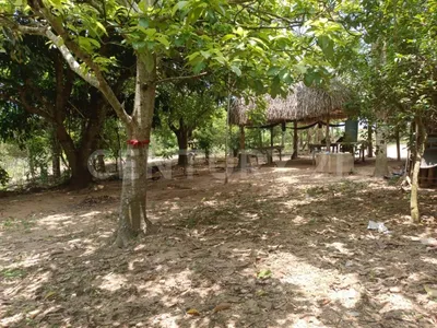 Terreno en renta