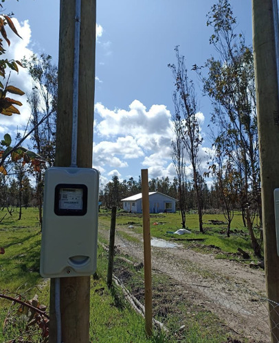 Parcelas Planas A Minutos De Chillán Cerca Río Y Comercio
