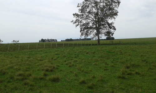 Venta Campo Maldonado 200 Has Sobre Ruta U$s 11000