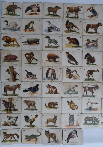 Imagen 2 de 8 de Antiguas Figuritas Animales Cartón Lote X 60 Ro 293