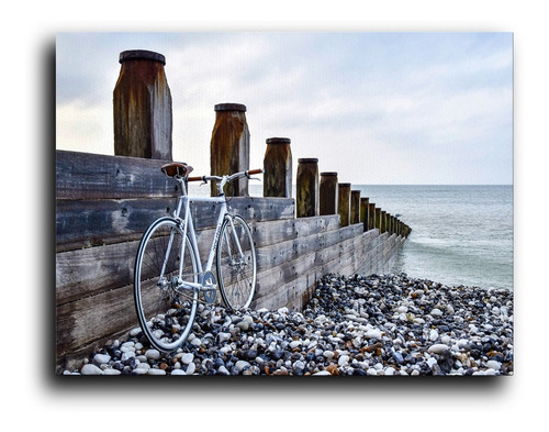 Cuadro Decorativo Acrilico Sala  20x30cm Muelle Bicicleta