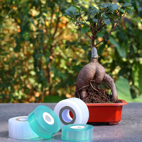 Cinta De Injerto De Jardín De 6 Piezas Para Árboles Frutales