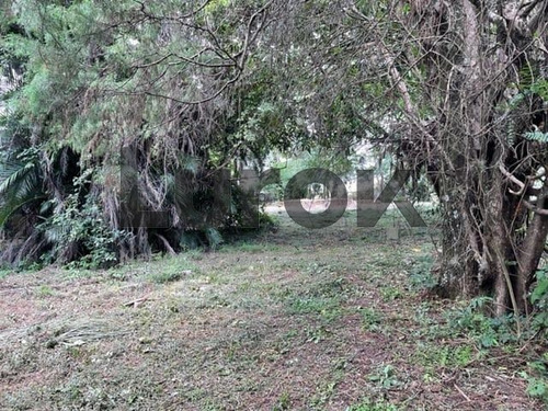Imagem 6 de 9 de Terreno À Venda Em Vale Verde - Te006030