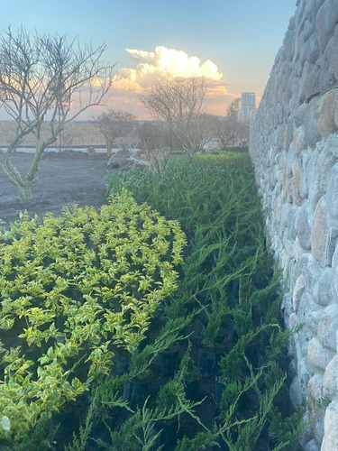 Terrenos En Venta