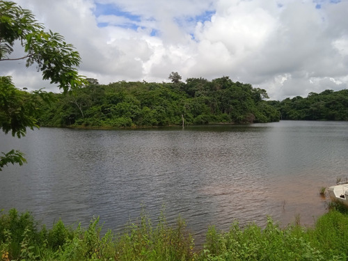 Imagen 8 de 25 de Finca Venta Lara Acarigua En Venta (gamelotal) De 251 Hectareas