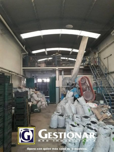 Imagen 6 de 12 de Galpón En Venta