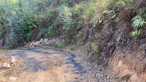Imagem 2 de 14 de B1 Terreno Com Visão Ampla Para A Natureza Arvores Frutífera