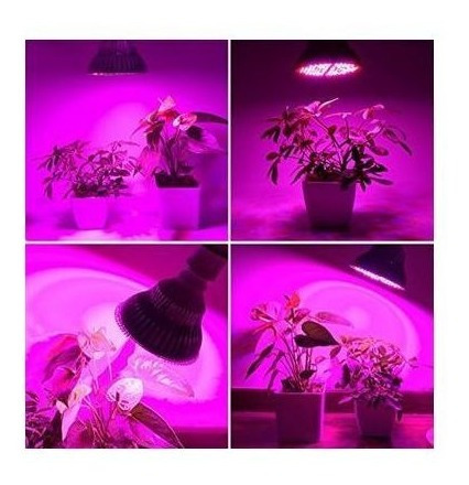 100w Grow Luz Full Spectro Vegetación Invernadero 