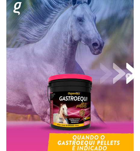 Gastroequi 1 kg Organnact Suplemento Gastroprotetor para Equinos