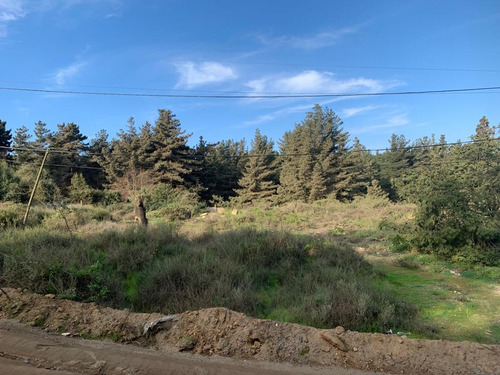 Sitio En Los Pinos Calle Calafquen