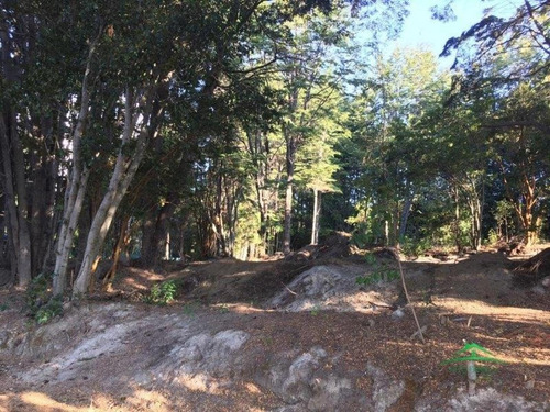 Hermoso Lote Con Vista Al Lago (cód. 205)
