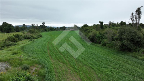 Agrícola En Venta En Lago Ranco La Unión