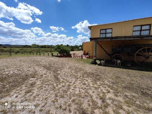 Imagen 21 de 30 de Venta De Chacra Sobre Ruta 9 A 30 Km De Jose Ignacio