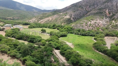 Imagen 15 de 30 de Terrenos En Venta En Moran 04245565759