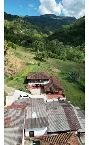 Finca Cafetera En Venta En Andes - Antioquia