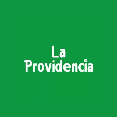 Fideos Spaghetti La Providencia 12 unidades