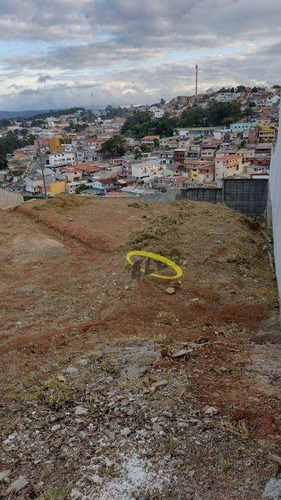 Imagem 6 de 20 de Terreno À Venda, 262 M² Por R$ 225.000,00 - Vila D'este - Cotia/sp - Te0917