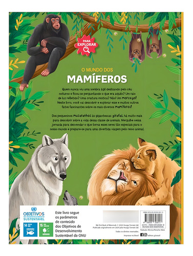 Para Explorar : O Mundo Dos Mamiferos: Não Aplica, De Jeffery, Eliza. Aplica, Vol. Não Aplica. Editorial Girassol Brasil Edicoes Ltda., Capa Mole, Edição 1 Em Português, 2024