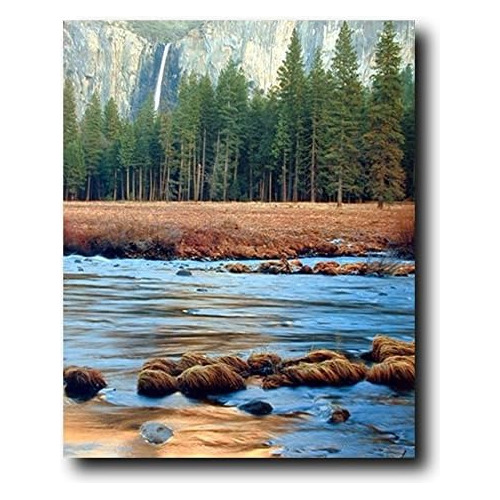 Póster De Arte De Paisaje De Yosemite Falls & River Tr...